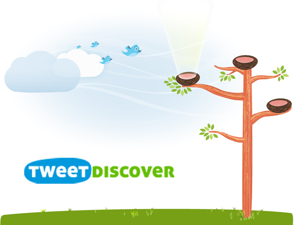 TweetDiscover: Plataforma de análisis para Social Media y campañas de marketing en Twitter