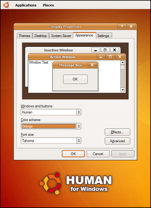 Windows XP con apariencia de Linux
